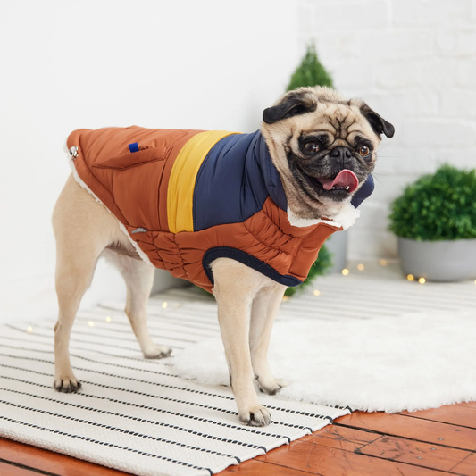 GF PET CHAQUETA RETRO PUFFER HAZEL XS