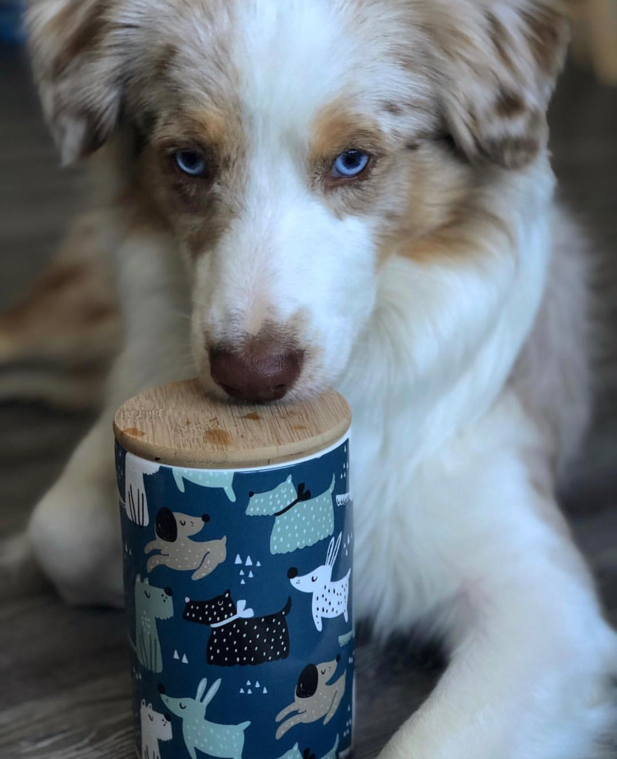 Parklife Designs Frasco Para Snacks Hooper