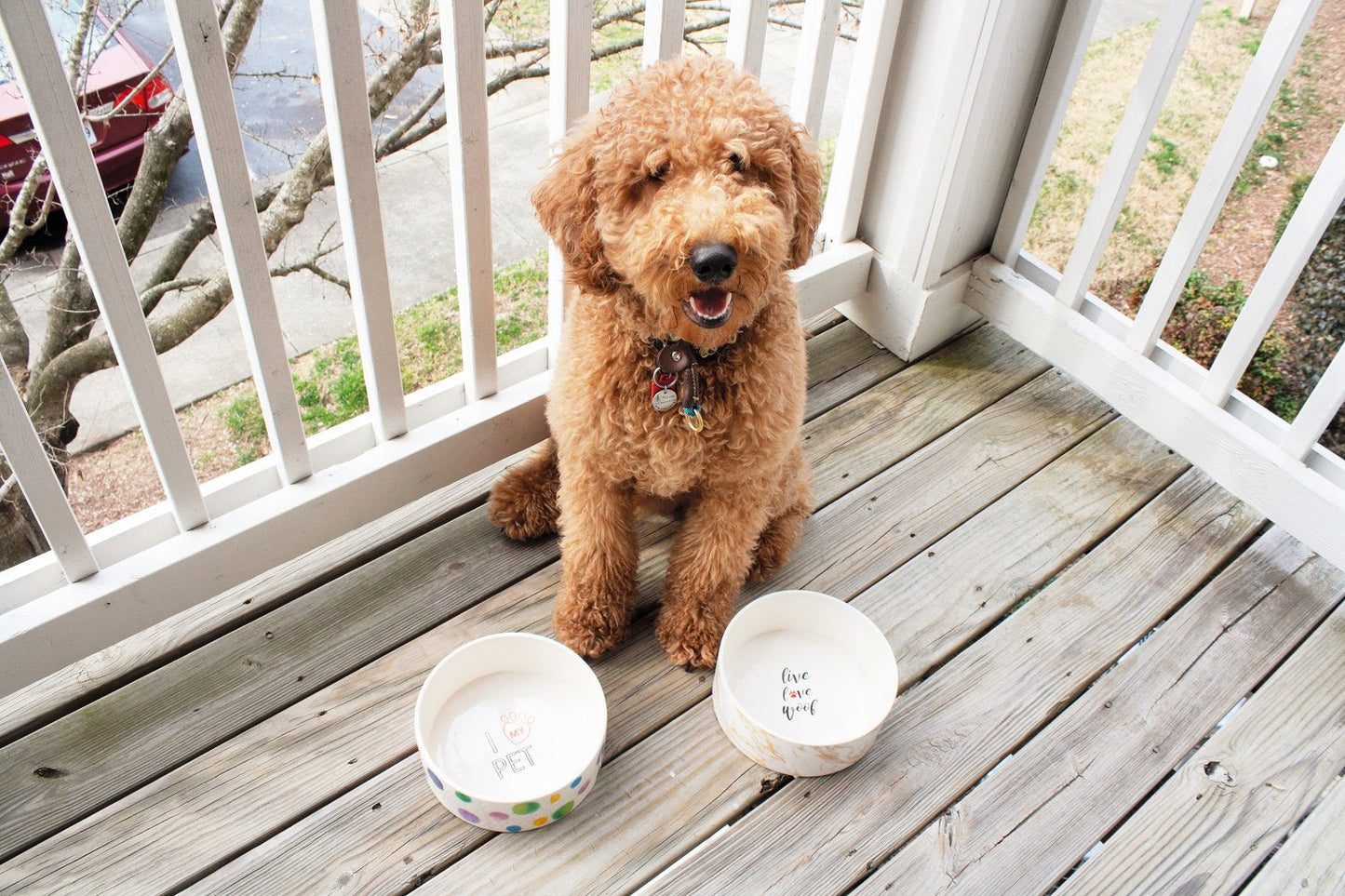 Parklife Designs Plato Boavista