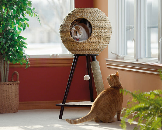 Sauder Pet Home Torre De Esfera Natural Para Gatos