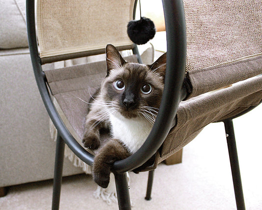 Sauder Pet Home Launge Para Gatos