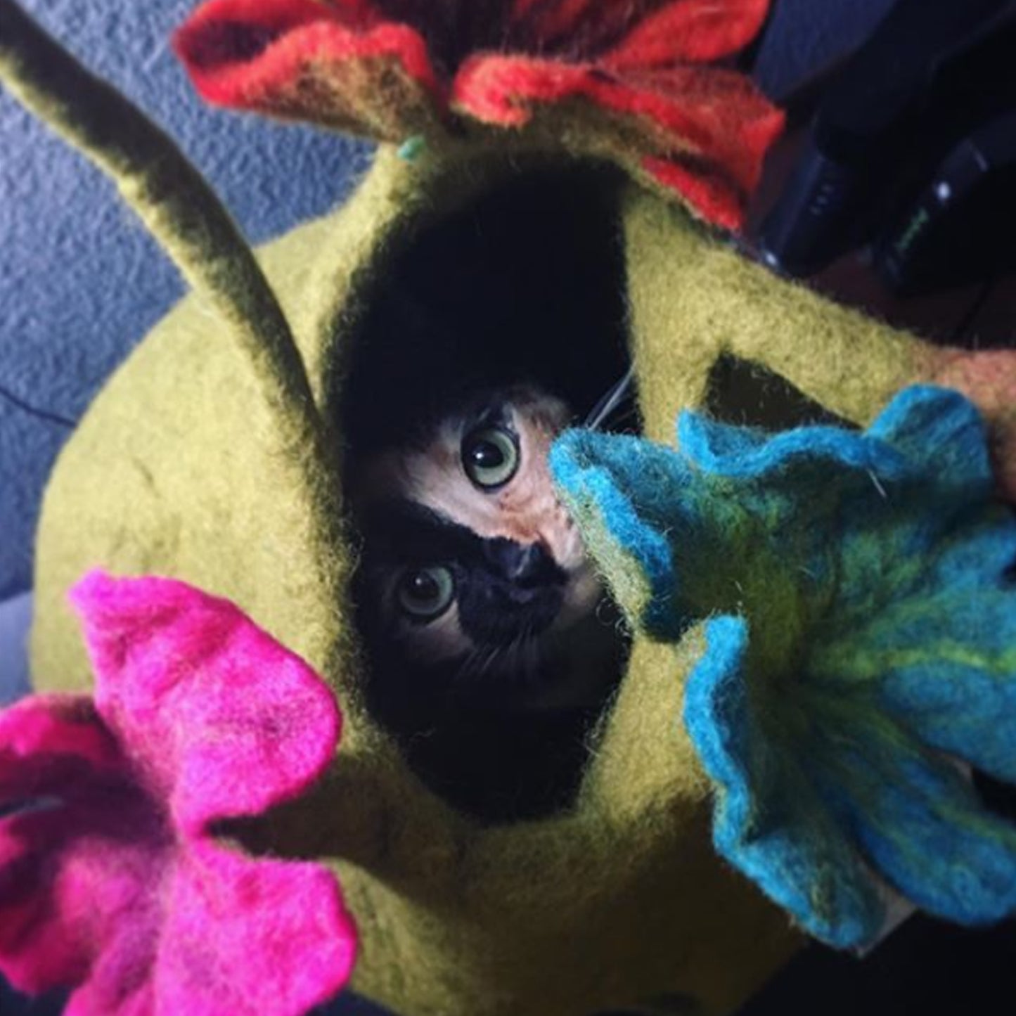 Dharma Dog Karma Cat Cueva Bouquet Verde/Multi