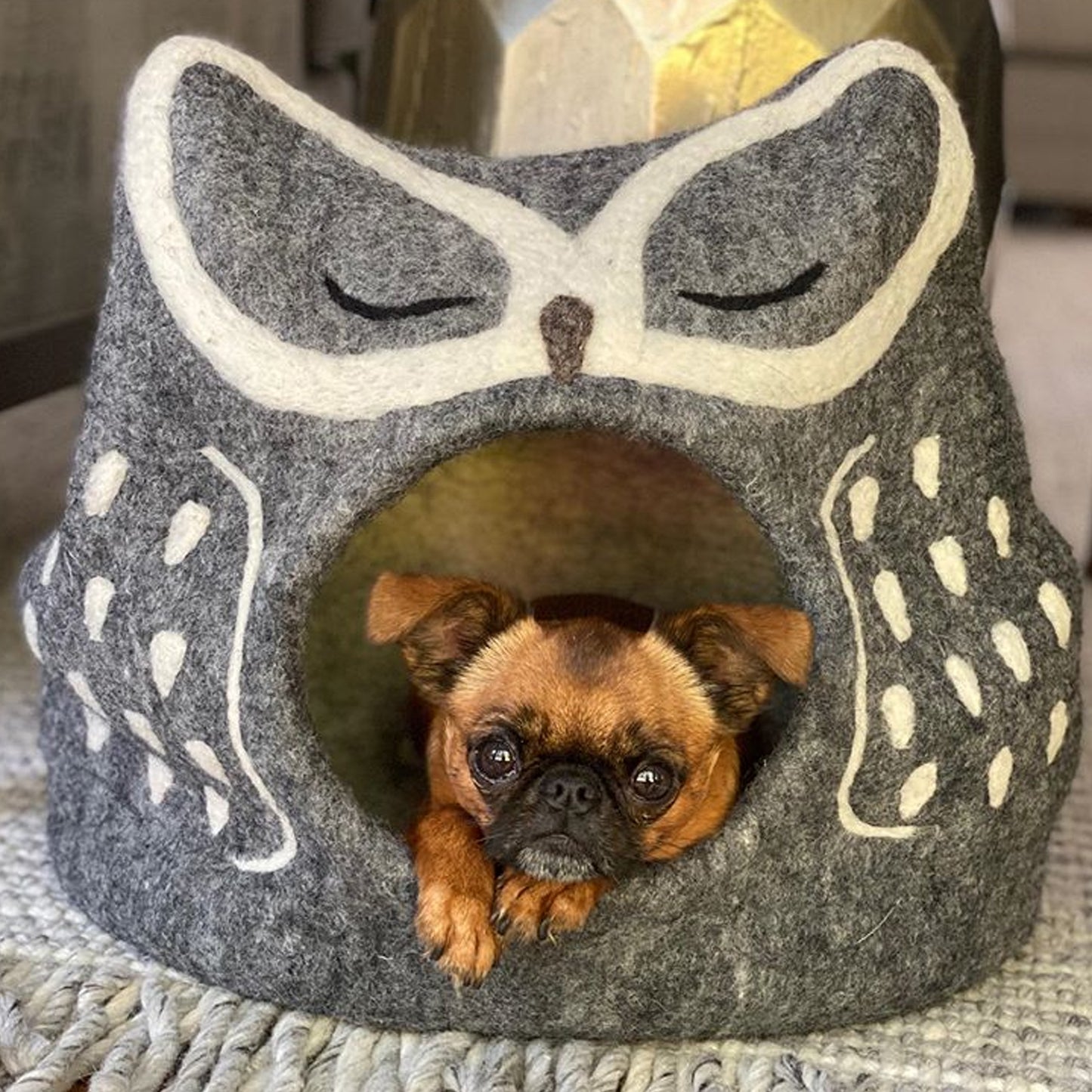 Dharma Dog Karma Cat Cueva Buho Gris
