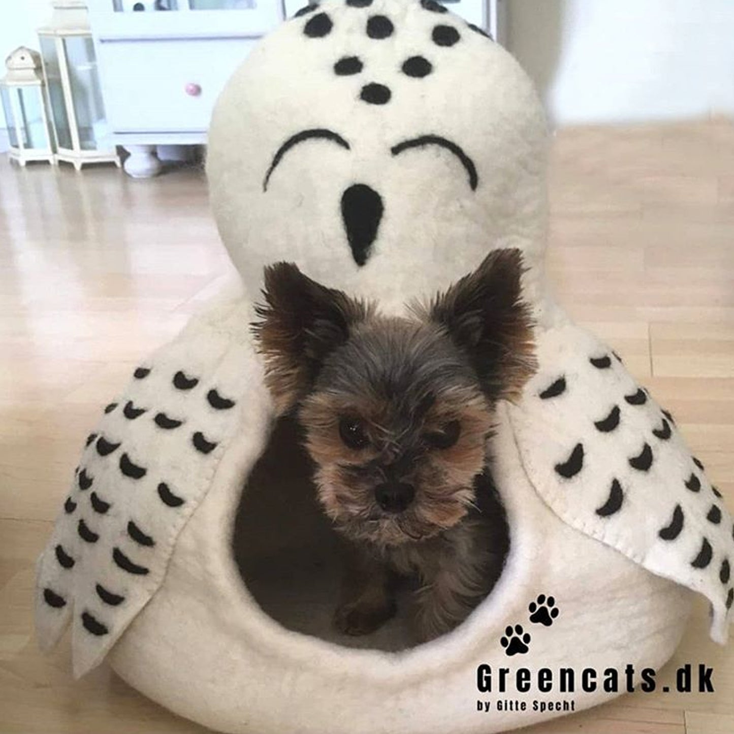 Dharma Dog Karma Cat Cueva Buho Nevado