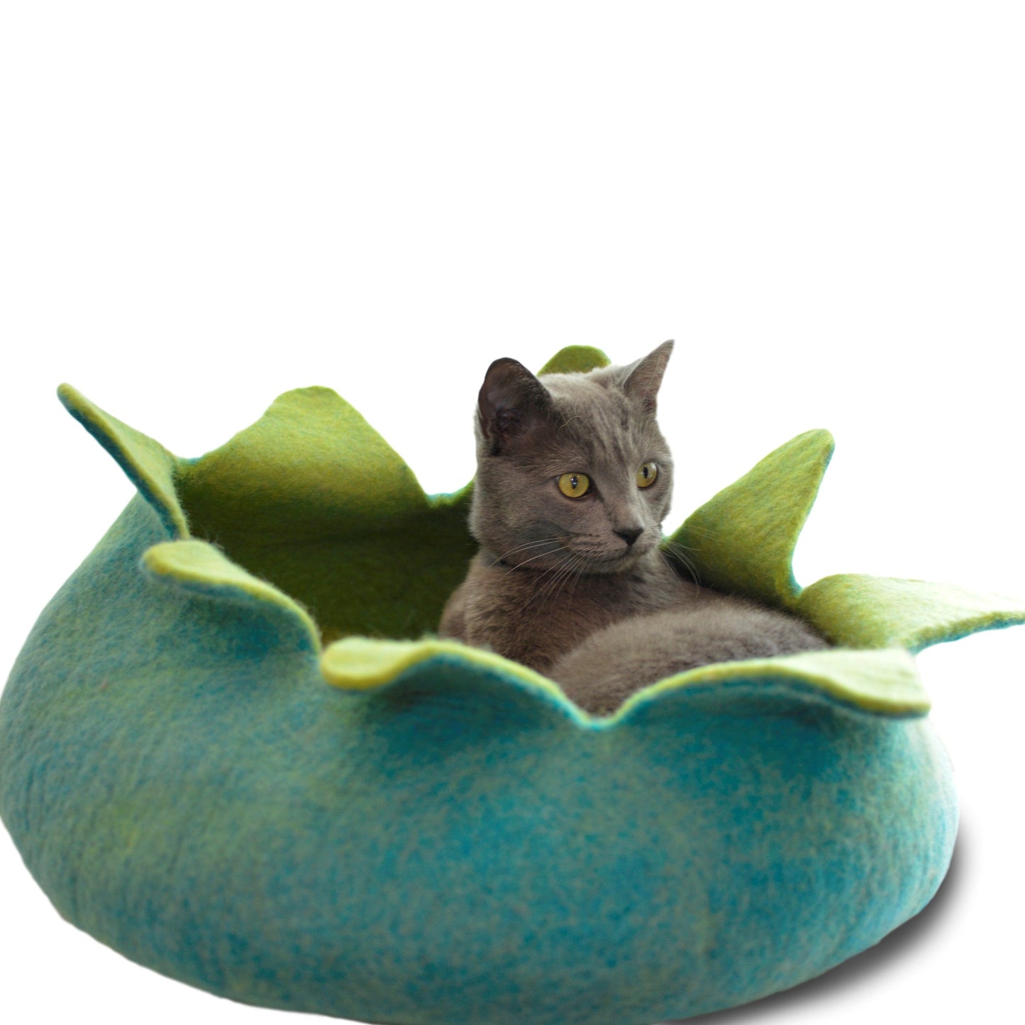 Dharma Dog Karma Cat Cesta Petalos Aqua