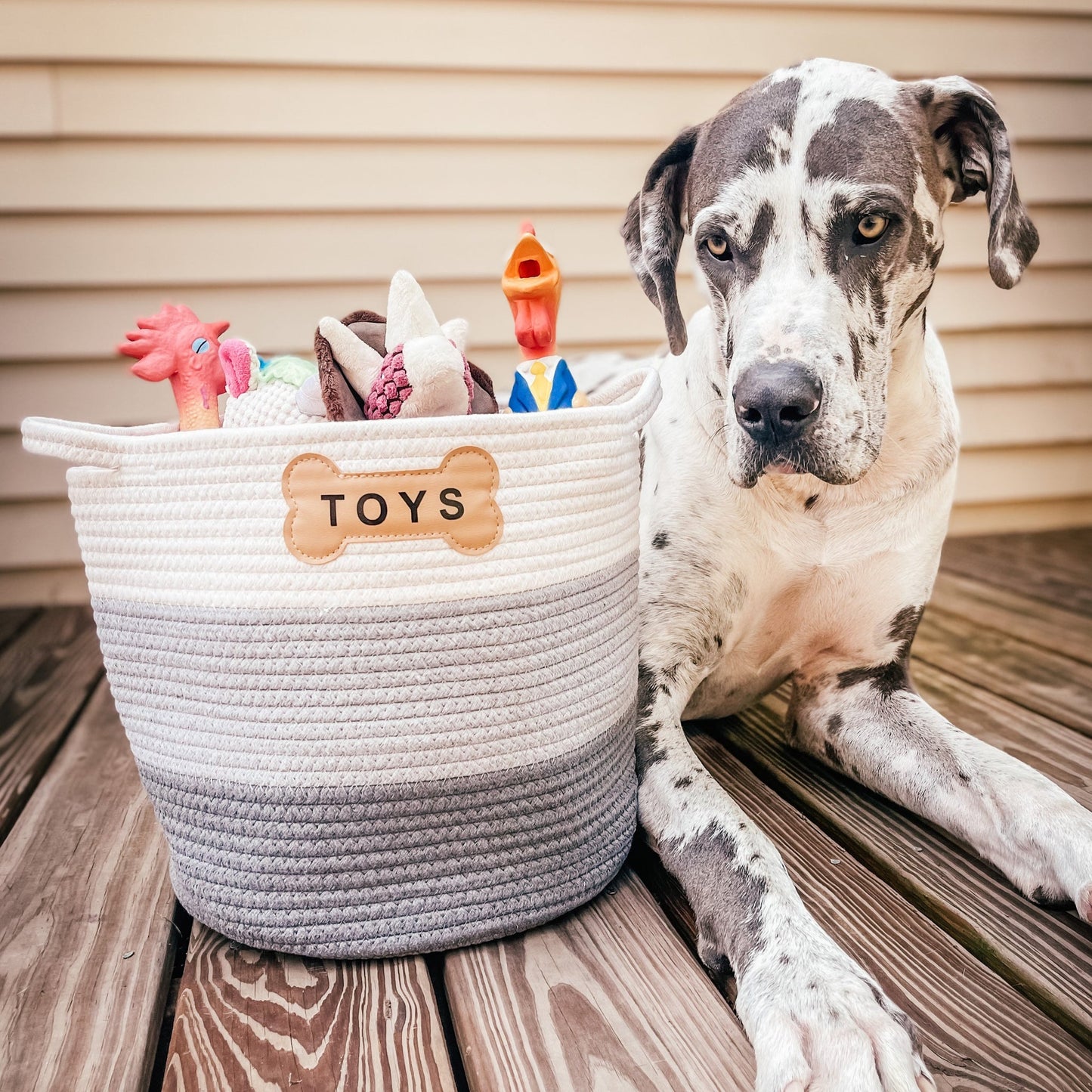 Parklife Designs Cesta De Juguetes Livra