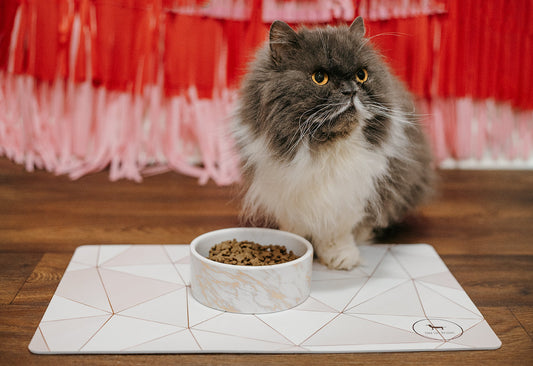 Parklife Designs Individual Vienna