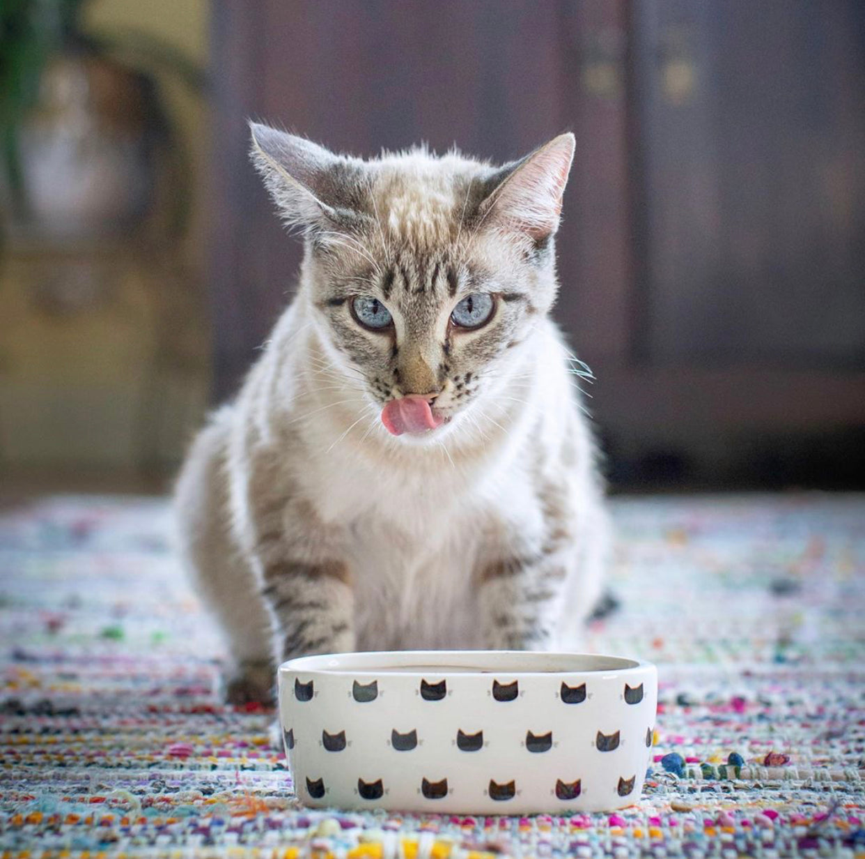 Parklife Designs Plato Para Gatos White Monty Oval