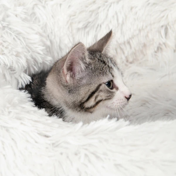 CATIT FLUFFY CAMA BLANCA