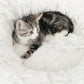 CATIT FLUFFY CAMA BLANCA