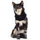 GFPET BOTIN GRIS NEGRO 3