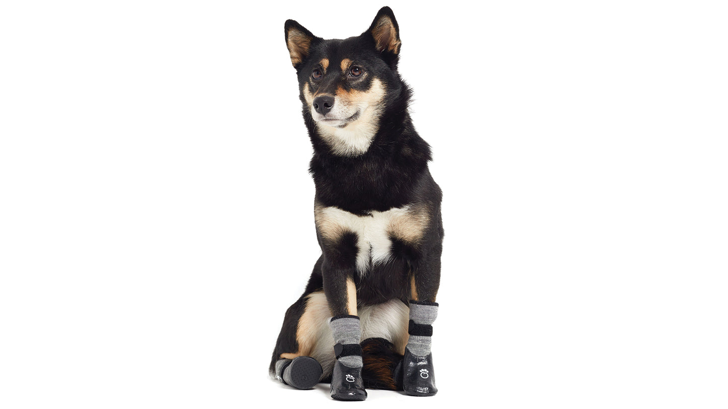 GFPET BOTIN GRIS NEGRO 3