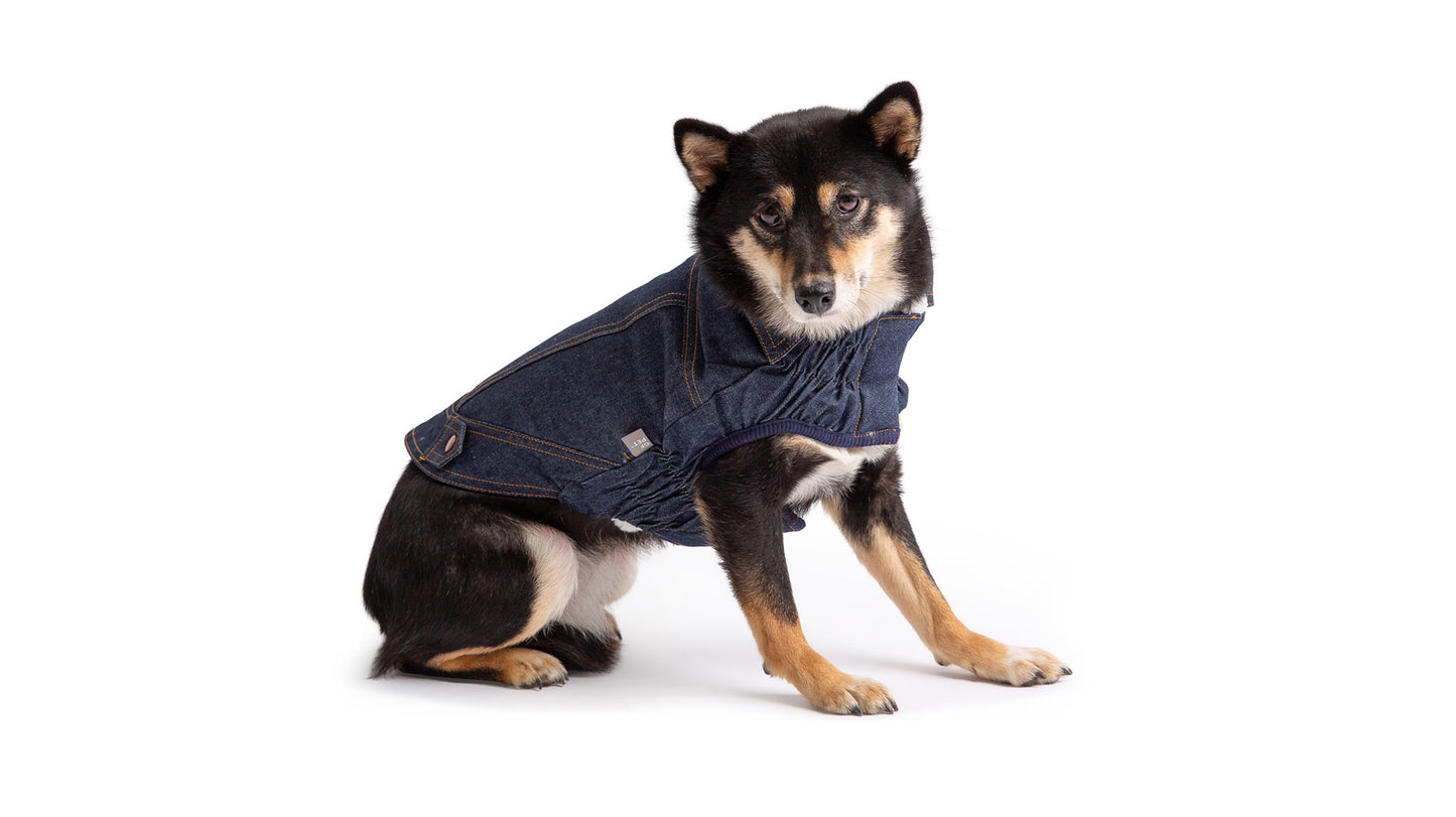 GFPET CHAQUETA DENIM XS