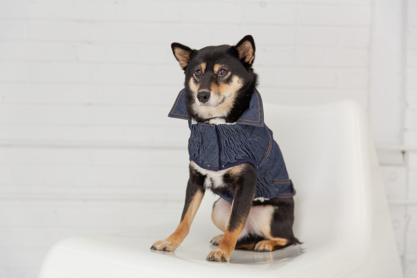 GFPET CHAQUETA DENIM XS