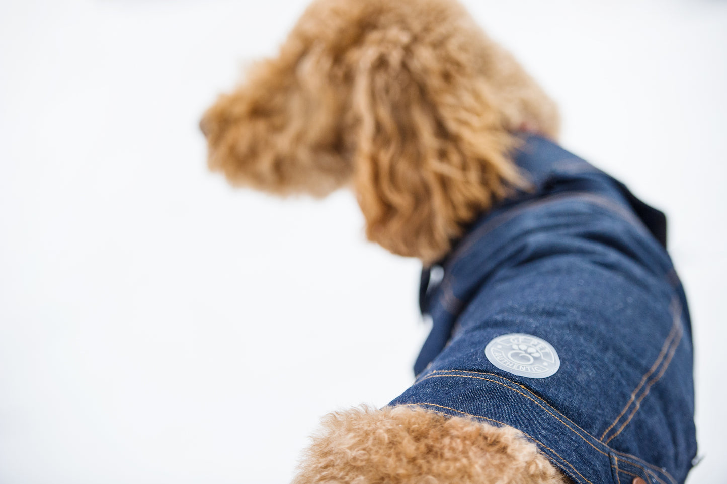 GFPET CHAQUETA DENIM XS
