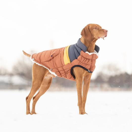 GF PET CHAQUETA RETRO PUFFER HAZEL 3XL