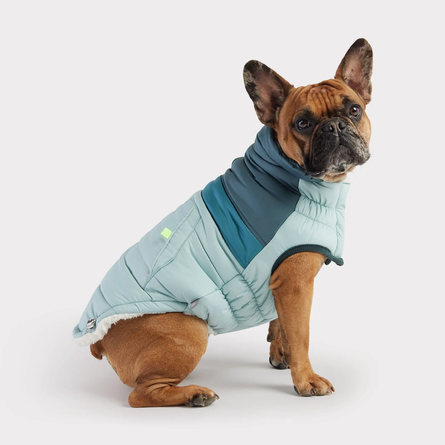 GF PET CHAQUETA RETRO PUFFER LIGHT BLUE 2XL