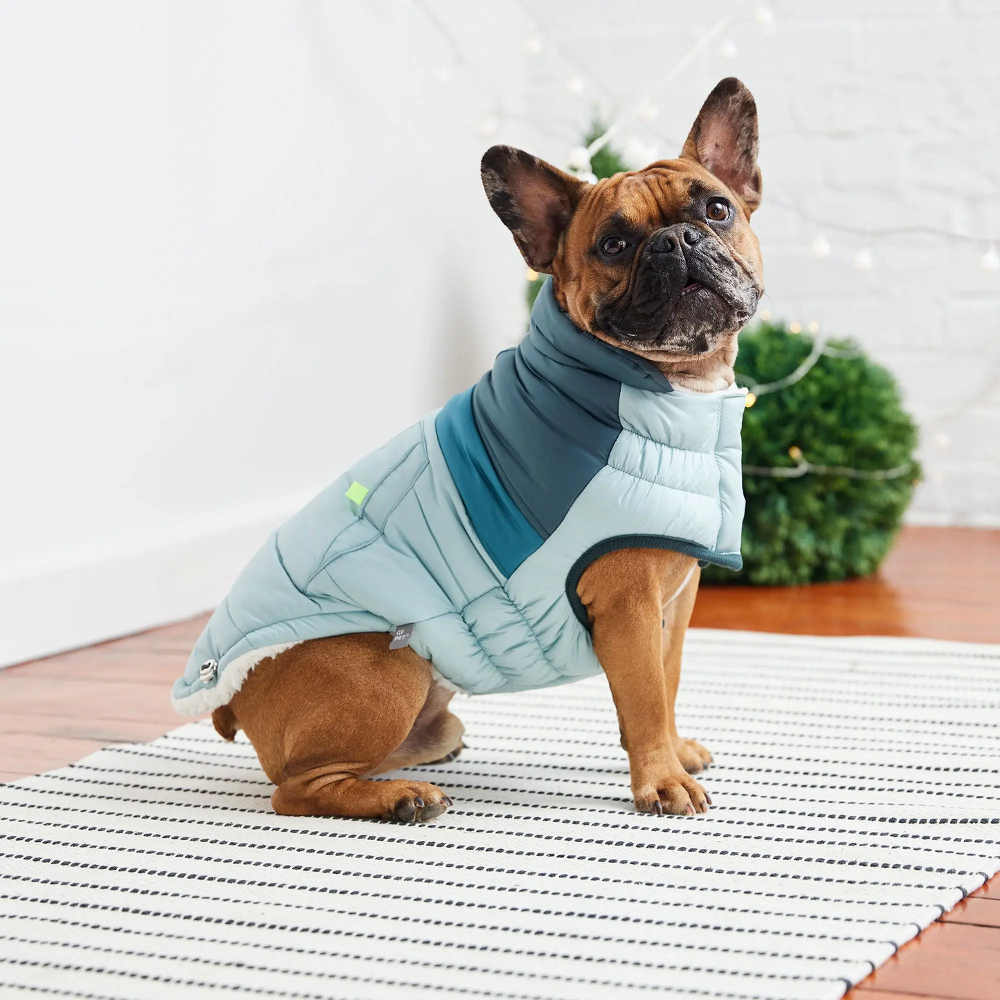 GF PET CHAQUETA RETRO PUFFER LIGHT BLUE 2XL