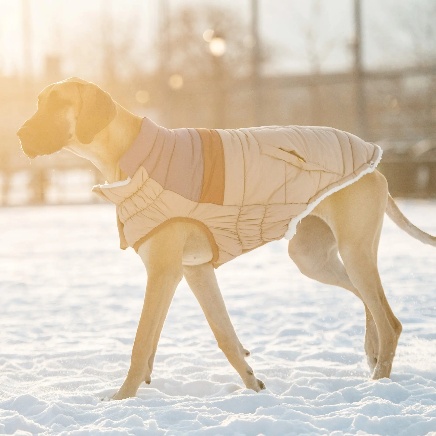 GF PET CHAQUETA RETRO PUFFER SAND 3XL