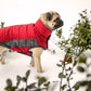 GFPET CHAQUETA ORFORD ROJO GRIS XS