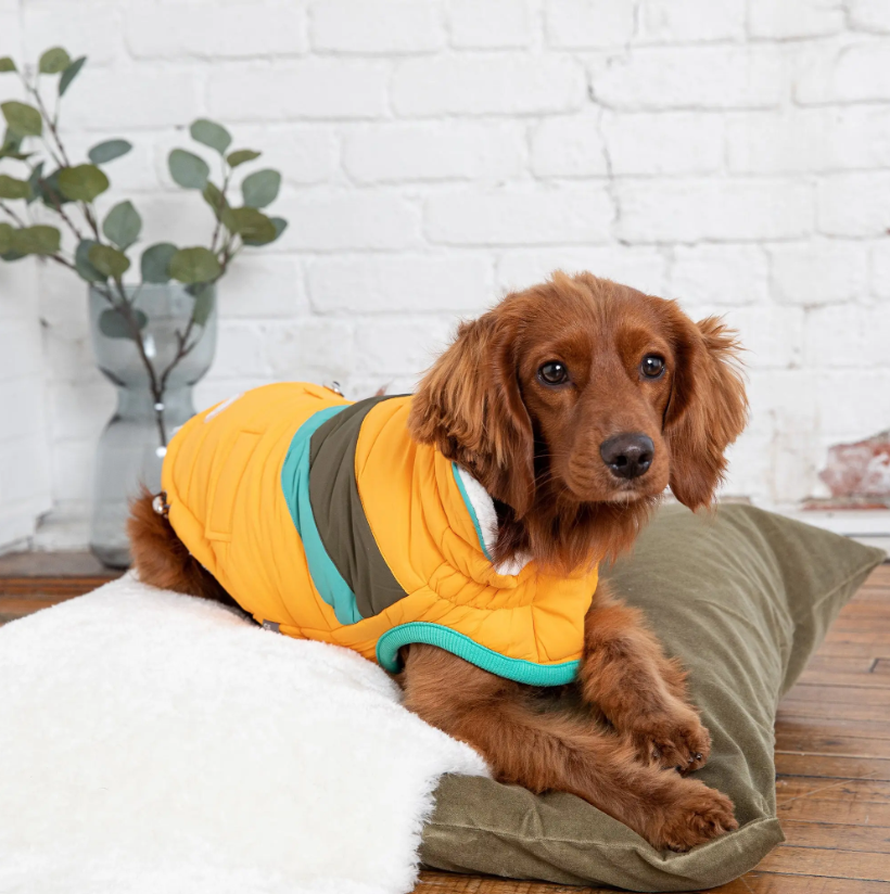 GF PET CHAQUETA ALPINE PUFFER AMARILLO S