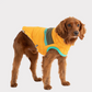 GF PET CHAQUETA ALPINE PUFFER AMARILLO S