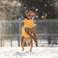 GF PET CHAQUETA ALPINE PUFFER AMARILLO S