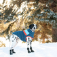 GF PET CHAQUETA ALPINE PUFFER AZUL XS