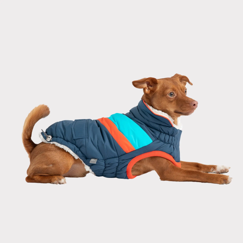 GF PET CHAQUETA ALPINE PUFFER AZUL XS