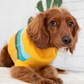 GFPET SWEATER ALPINE AMARILLO S