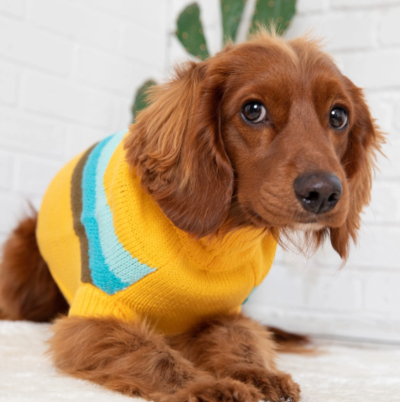 GFPET SWEATER ALPINE AMARILLO S