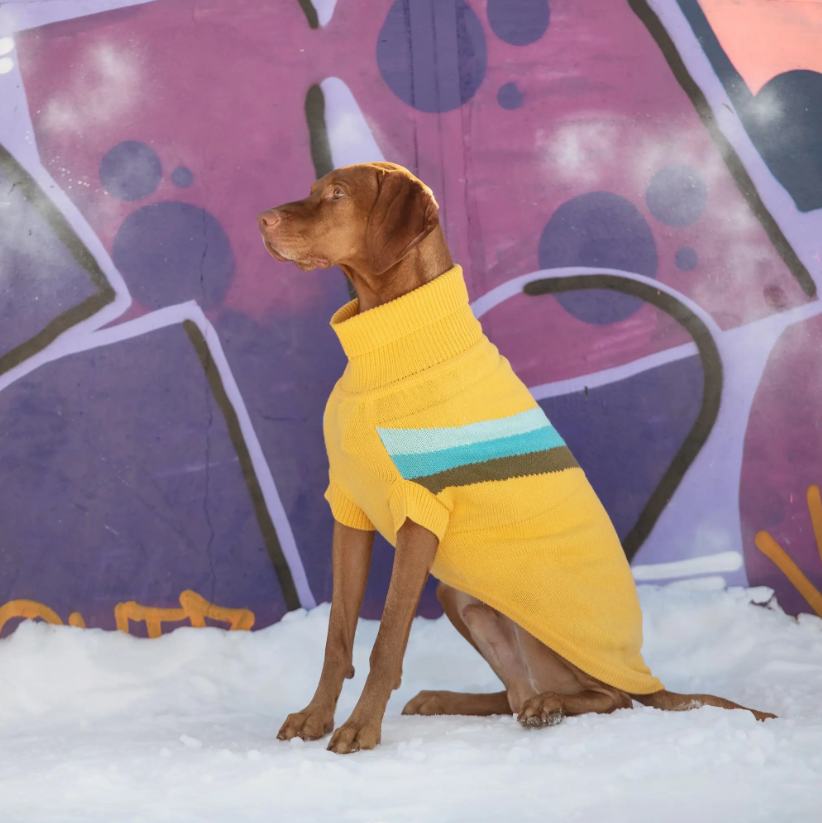 GFPET SWEATER ALPINE AMARILLO S