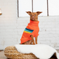 GFPET SWEATER ALPINE NARANJA S
