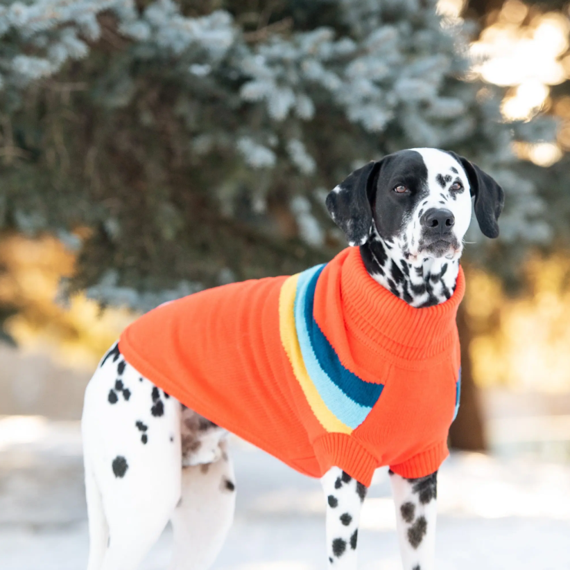 GFPET SWEATER ALPINE NARANJA S
