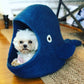 Dharma Dog Karma Cat Cueva Ballena Azul