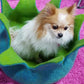 Dharma Dog Karma Cat Cesta Petalos Aqua
