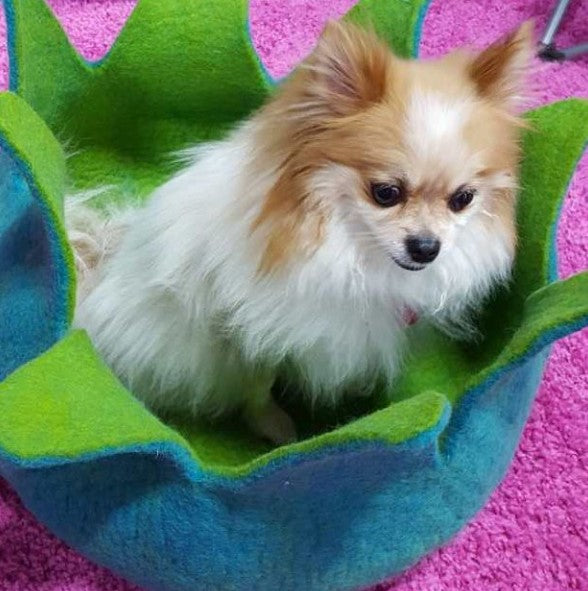 Dharma Dog Karma Cat Cesta Petalos Aqua