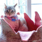 Dharma Dog Karma Cat Cesta Petalos Rose