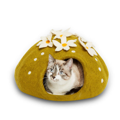 Dharma Dog Karma Cat Cueva Cactus